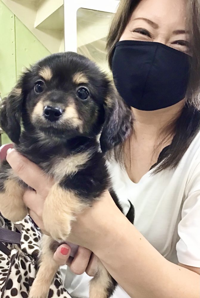 チワックス様 各種パーツ