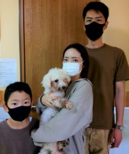 新しい家族が決まりました 849 ビションフリーゼ きぬ わんにゃんさとおや会 保護犬猫の里親募集 譲渡会開催中