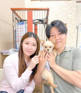 幸せわんちゃん - わんにゃんさとおや会 保護犬猫の里親募集・譲渡会